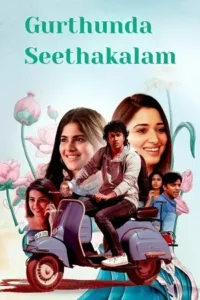 gurthunda seethakalam 2022 , Moviesflix